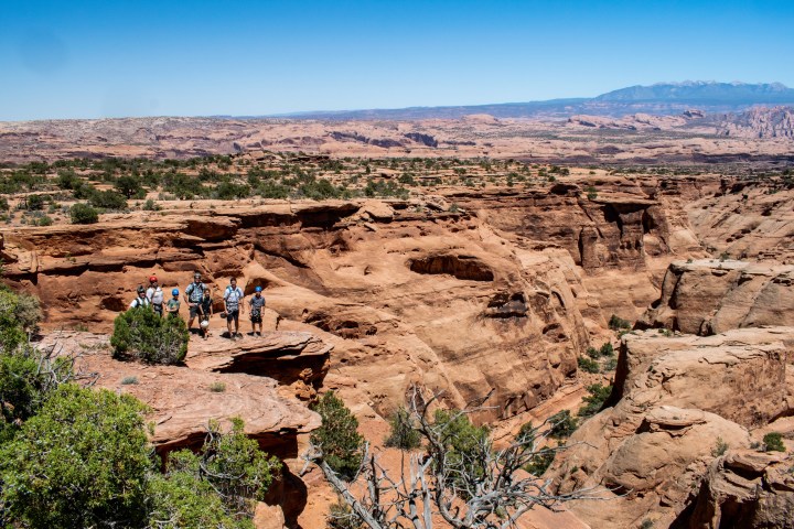 a canyon with a mountain in the desert