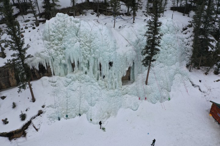 People ice climbing on a large frozen waterfall in a snowy forest.